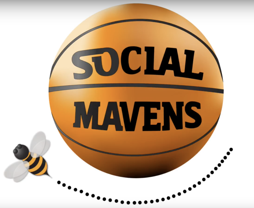 Social Mavens' logo